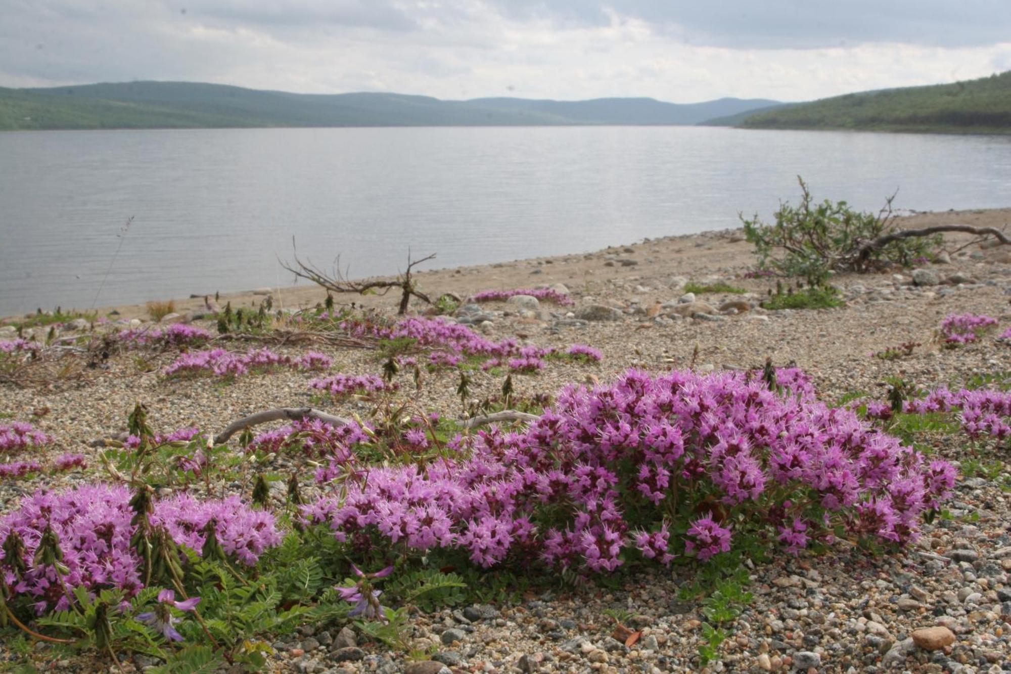 Resort Village Nuorgamin Lomakeskus